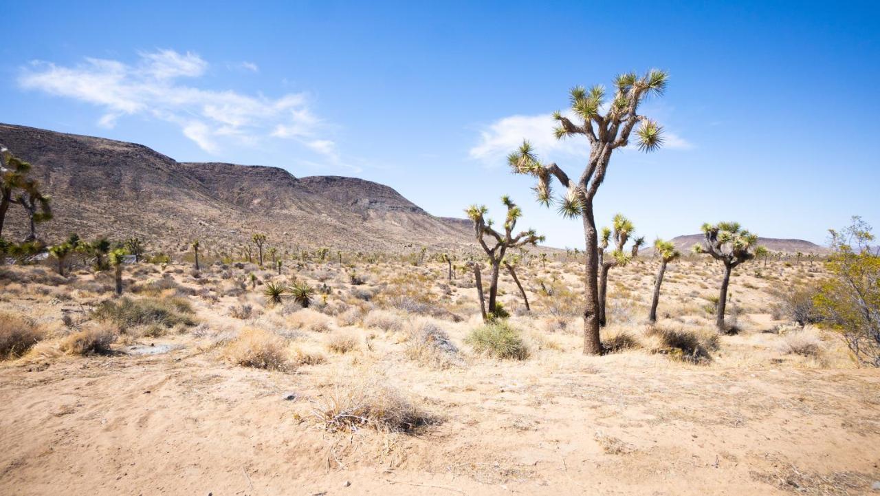 Wind Hill Hotell Yucca Valley Eksteriør bilde